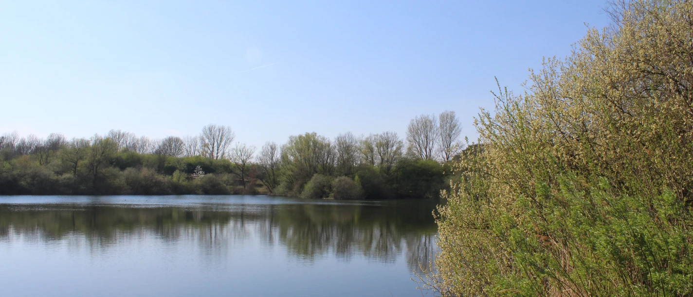 Badesee "Die Rolle" Calm bathing lake surrounded by trees, clear reflections in the water and a bright blue sky.