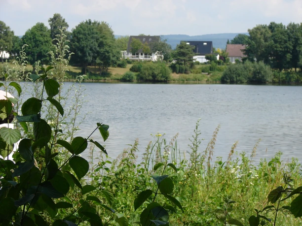 Dedinger-Heide-See Bad Lippspringe Blick über dichten Uferbewuchs auf einen ruhigen See, umgeben von Bäumen und vereinzelten Häusern.