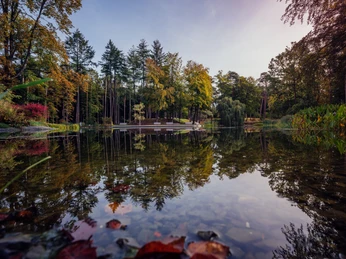 Waldsee mit ruhigem Wasser, umgeben von herbstlich bunt gefärbten Bäumen, reflektiert die Natur.