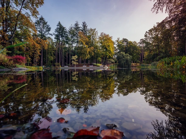 Mersmannteiche Bad Lippspringe Waldsee mit ruhigem Wasser, umgeben von herbstlich bunt gefärbten Bäumen, reflektiert die Natur.
