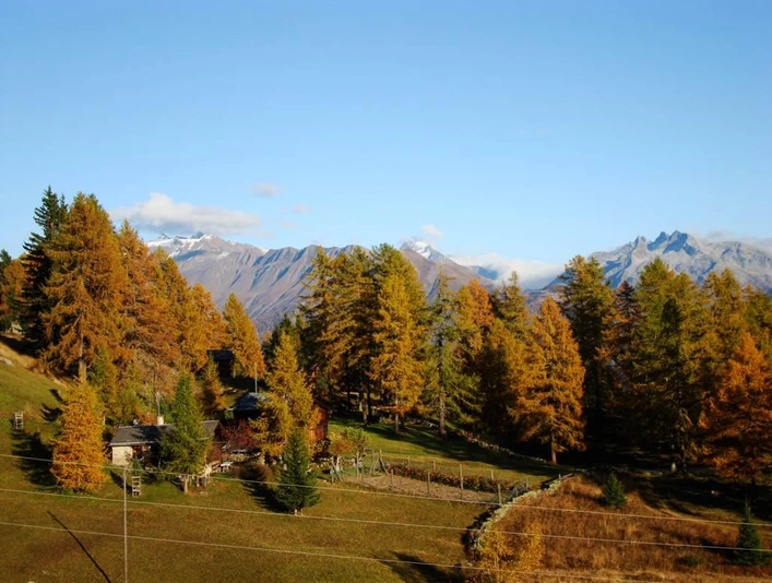 Herbstliches Farbenfest