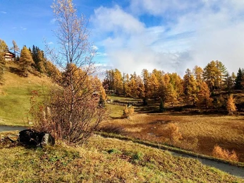 Wenn die Erde bunt wird...