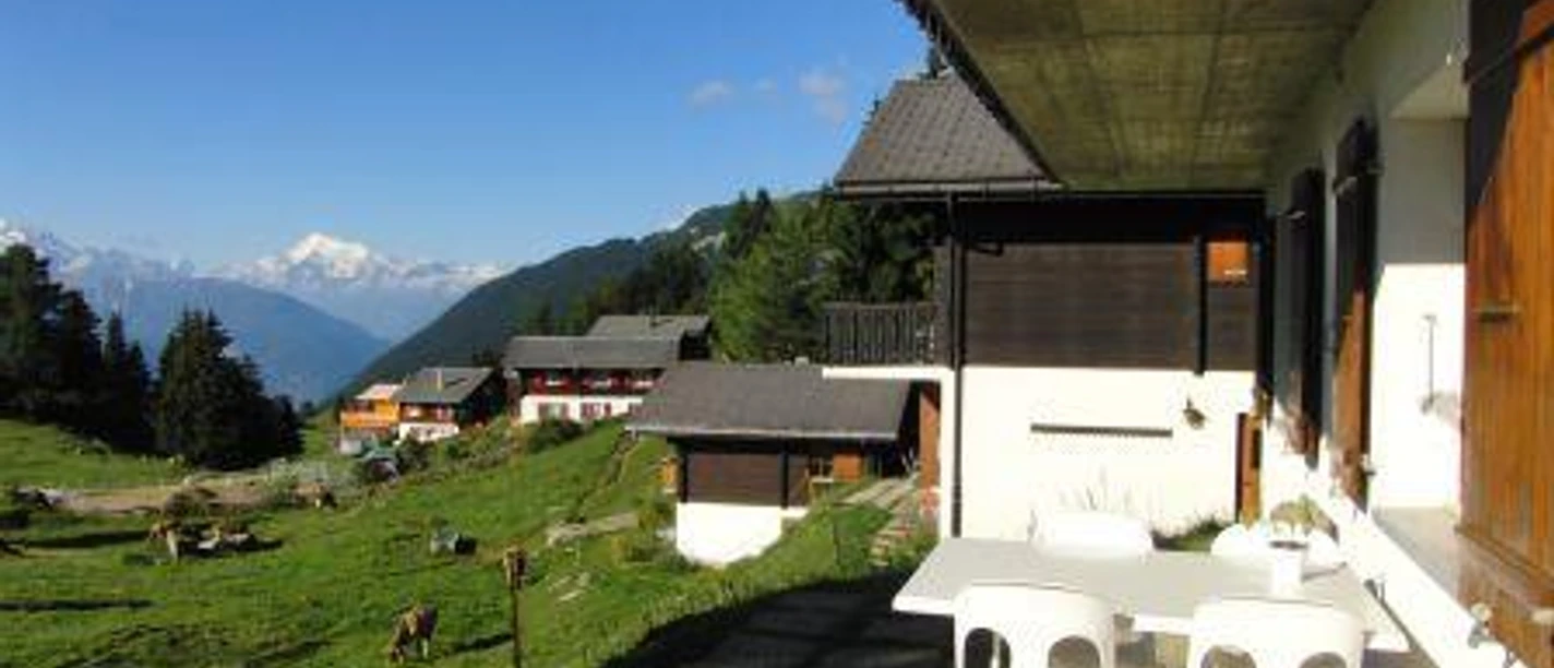 Aussicht Sommer Balkon