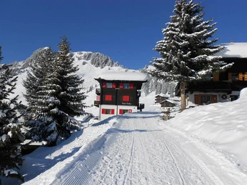 Weg zum Chalet Walker
