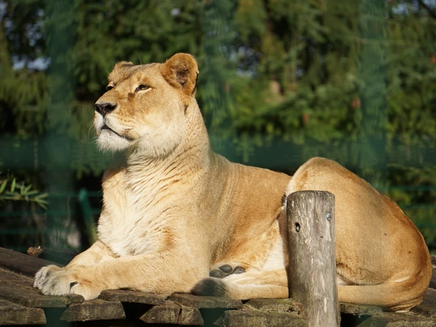 Jaderpark_Inola Hofrichter