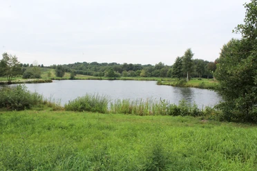 Landschaftssee Uchte Grüner Uferbereich mit Blick auf einen See, umgeben von Bäumen und offenem Himmel bei leicht bewölktem Wetter.