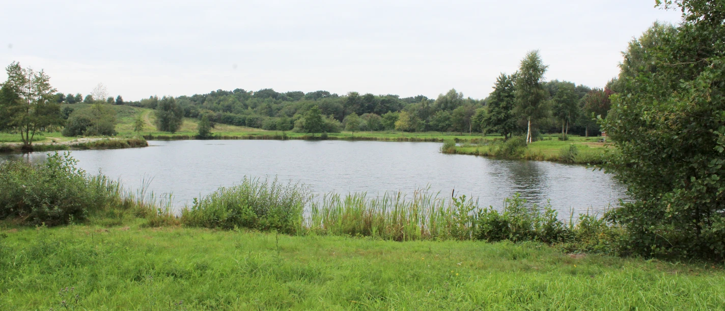 Landschaftssee Uchte Grüner Uferbereich mit Blick auf einen See, umgeben von Bäumen und offenem Himmel bei leicht bewölktem Wetter.