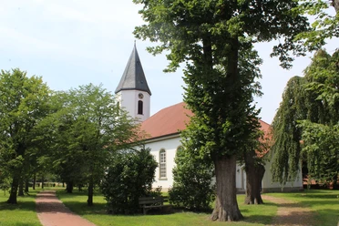 Bruchhausen-Vilsen Kirche Martfeld Die Kirche Martfeld in Bruchhausen-Vilsen ist umgeben von Bäumen, mit einem markanten Glockenturm.