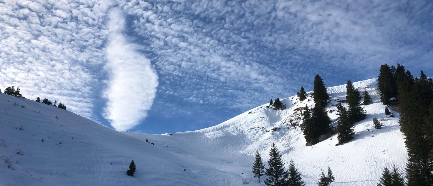 Randonnée en raquettes à neige dans le Diemtigtal