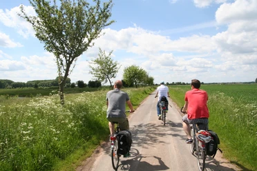 Three cyclists ride along a narrow path through a green landscape with trees and clouds.