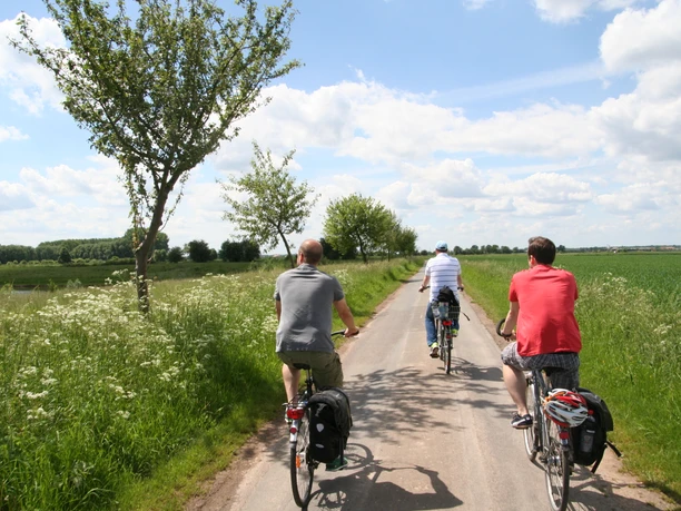 Three cyclists ride along a narrow path through a green landscape with trees and clouds.