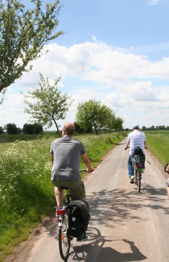 Radfahrer in Liebenau Drei Radfahrer fahren auf einem schmalen Weg durch eine grüne Landschaft mit Bäumen und Wolken.