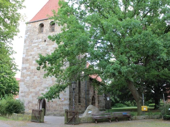 Kirche Buchholz Alte Backsteinkirche in grüner Umgebung mit markantem Turm und großen, schattenspendenden Bäumen.