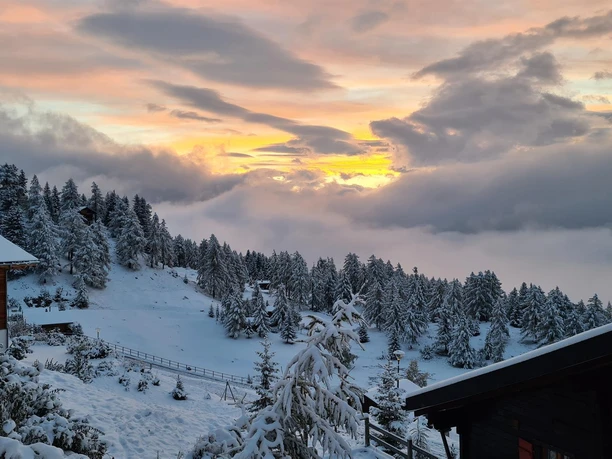 Morgens der erste Blick