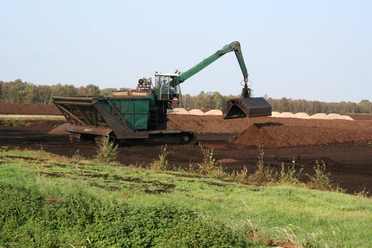 Das große Borsteler Moor Das große Borsteler Moor