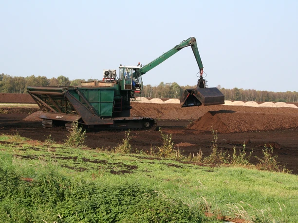 Das große Borsteler Moor Das große Borsteler Moor