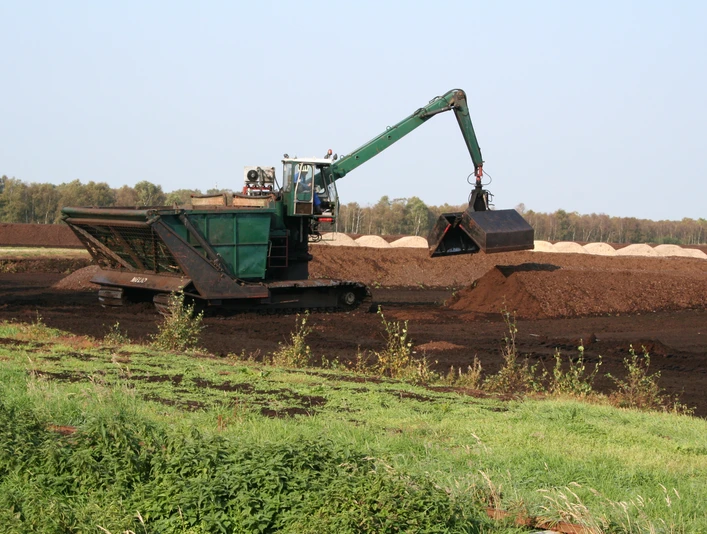 Das große Borsteler Moor Das große Borsteler Moor