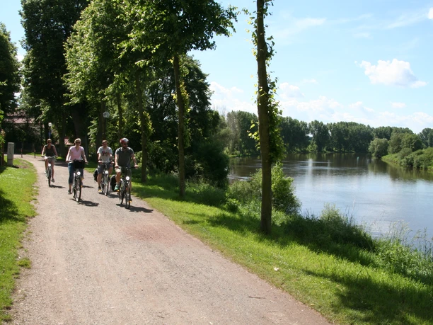 Cyclists on a shady path next to a quiet river, surrounded by green trees and meadows.