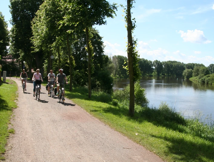 Radfahrer in Nienburg Radfahrer auf einem schattigen Weg neben einem ruhigen Fluss, umgeben von grünen Bäumen und Wiesen.Cyclists on a shady path next to a quiet river, surrounded by green trees and meadows.Cyklister på en skyggefuld sti ved siden af en stille flod, omgivet af grønne træer og enge.Fietsers op een schaduwrijk pad langs een rustige rivier, omringd door groene bomen en weiden.
