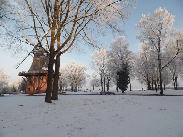 kurpark-muehle-im-schnee.jpg Windmühle im verschneiten Kurpark, umgeben von schneebedeckten Bäumen und blauem Himmel.