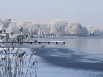 schnee-eis-ufer-zwischenahner-meer.jpg