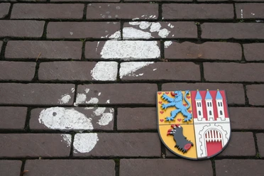 Bärenspur und Nienburger Wappen Ein Bärenfußabdruck aus weißer Farbe sowie ein farbenfrohes Stadtwappen zieren eine Pflasterfläche.