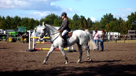 Reitturnier des Reitvereins Tarmstedt Reitturnier des Reitvereins Tarmstedt
