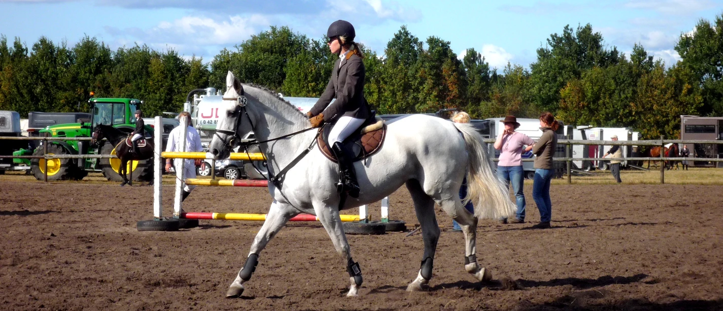 Reitturnier des Reitvereins Tarmstedt Reitturnier des Reitvereins Tarmstedt