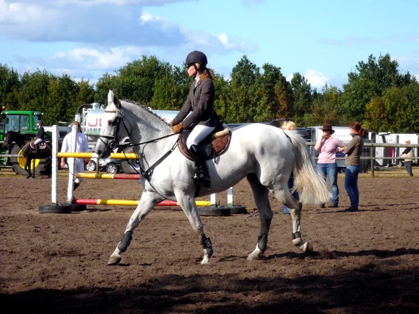 Reitturnier des Reitvereins Tarmstedt Reitturnier des Reitvereins Tarmstedt