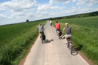 Radfahrer in Langwedel Radfahrer auf einem schmalen Weg entlang grüner Felder, blauer Himmel mit weißen Wolken oben.