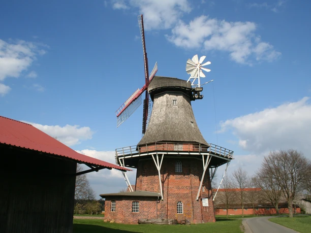 Feldmühle Martfeld: Historische Windmühle aus Backstein und Holz in ländlicher Umgebung unter blauem Himmel.