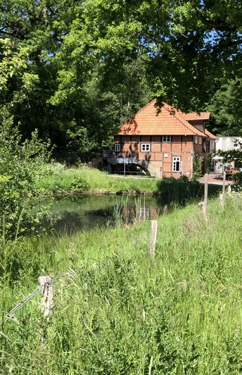 Klostermühle Heiligenberg Historische Klostermühle Heiligenberg aus Backstein an einem ruhigen Waldweg und Teich im Sommer.