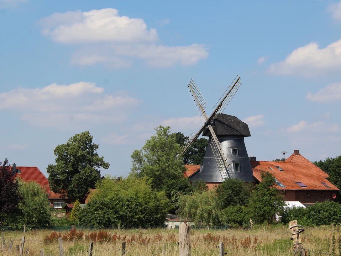 Historische Windmühle, umgeben von grüner Vegetation und roten Ziegeldächern unter blauem Himmel.