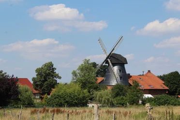 Windmühle Loccum Historische Windmühle, umgeben von grüner Vegetation und roten Ziegeldächern unter blauem Himmel.