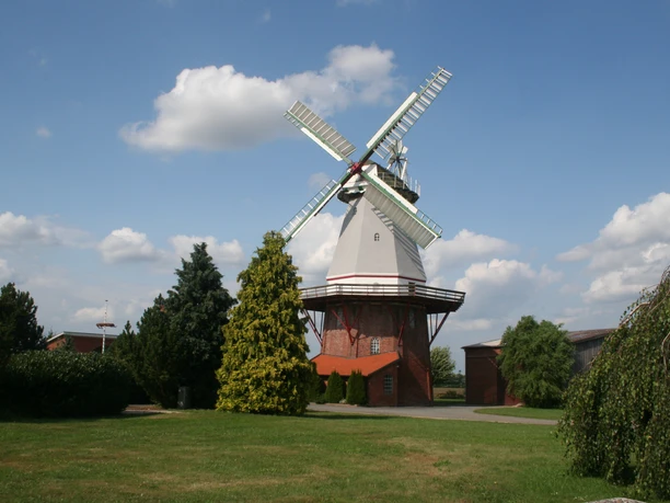 Windmühle unter blauem Himmel mit weißen Wolken, umgeben von grünen Bäumen und Wiesen.
