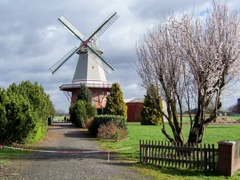 Historische Windmühle mit blühendem Baum im Vordergrund, umgeben von gepflegtem Grün und Bäumen.