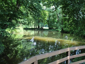 Plaggen Mühle Döhren Dichte Baumkronen spiegeln sich im ruhigen Wasser eines Waldparks, aufgenommen von einer Holzbrücke.