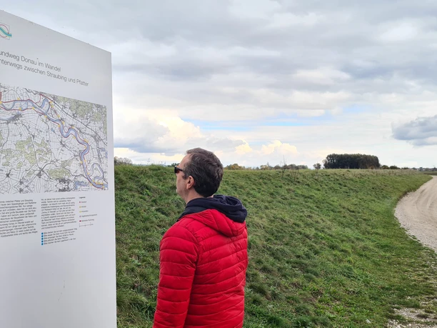 An der Infotafel "Donau im Wandel" bei Pfatter Person betrachtet Infotafel "Rundweg Donau im Wandel" neben einem Kiesweg und Wiese.