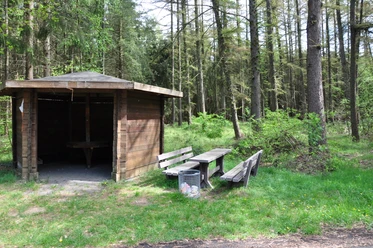 Bäume braucht das Land