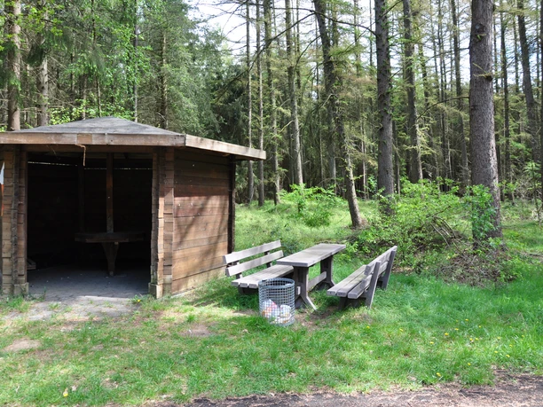 Bäume braucht das Land