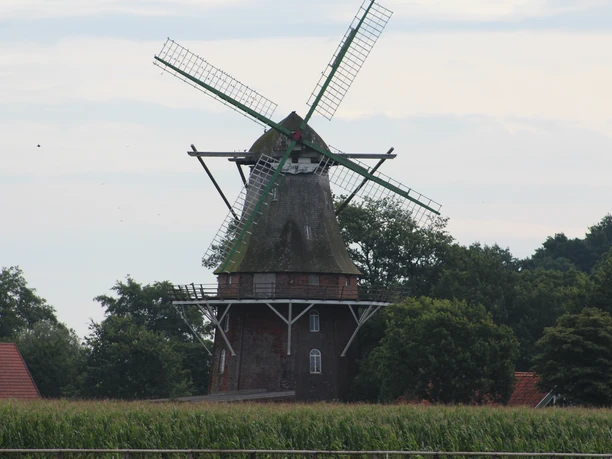 Historische Windmühle in Schwarme, umgeben von Bäumen und einem Weizenfeld, unter wolkigem Himmel.
