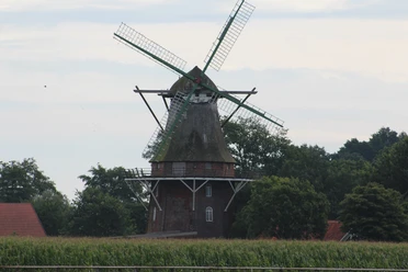 Sprakener Windmühle in Schwarme Historische Windmühle in Schwarme, umgeben von Bäumen und einem Weizenfeld, unter wolkigem Himmel.