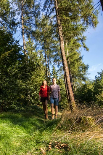 Wandern im Naturpark Münden Wandern im Naturpark Münden
