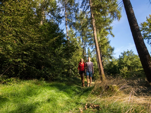 Wandern im Naturpark Münden Hiking in the Münden Nature Park