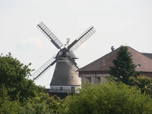 Windmühle Dörverden Historische Windmühle mit weißen Flügeln neben einem Backsteinhaus, umgeben von Bäumen im Sommer.