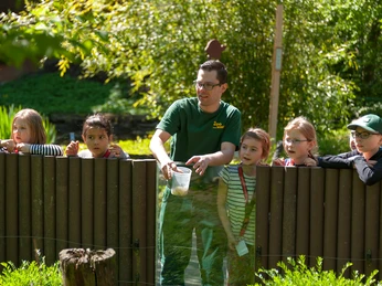 Wingster Waldzoo Tierpfleger mit Kindern am Gehege im Wingster Waldzoo bei sonnigem Wetter und grüner NaturumgebungAnimal keepers with children at the enclosure in the Wingster Forest Zoo in sunny weather and green natural surroundingsDyrepassere med børn ved indhegningen i Wingster Forest Zoo i solskinsvejr og grønne naturomgivelserDierenverzorgers met kinderen bij het verblijf in de Wingster Forest Zoo bij zonnig weer en een groene natuurlijke omgeving
