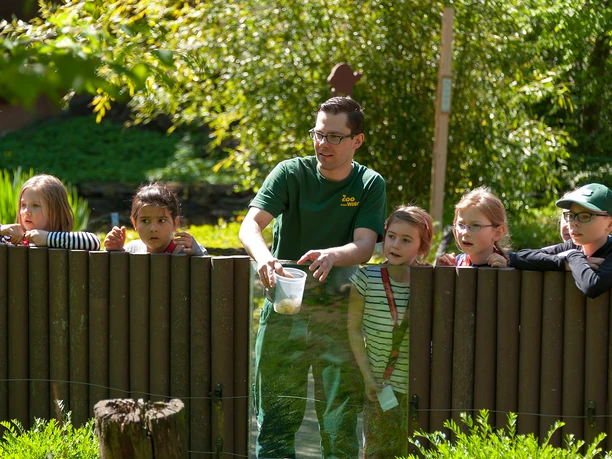 Wingster Waldzoo Dyrepassere med børn ved indhegningen i Wingster Forest Zoo i solskinsvejr og grønne naturomgivelser
