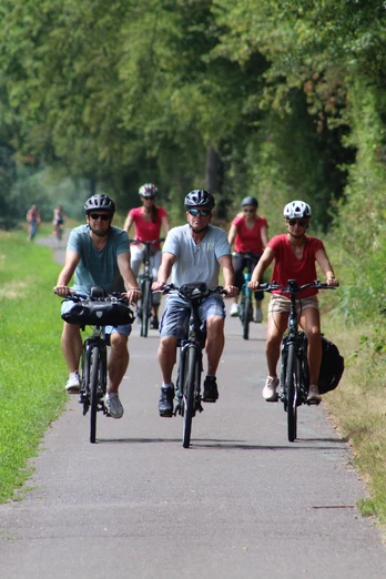 Radler Zwei Männer und eine Frau fahren auf einem asphaltierten Weg durch eine grüne Landschaft Fahrrad.