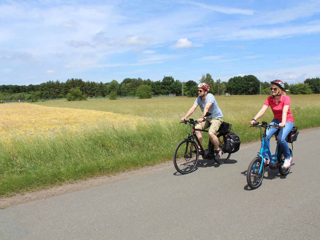 Radfahrer Zwei Radfahrer fahren bei sonnigem Wetter auf einer asphaltierten Straße durch eine grüne Landschaft.