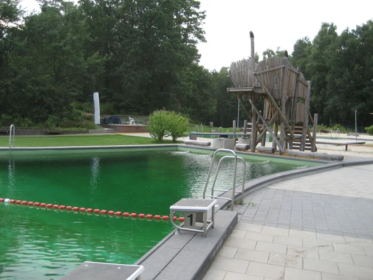 Das NaturWaldBad Steimbke mit grünem Wasser und einem Holzspielschiff, umgeben von Natur.